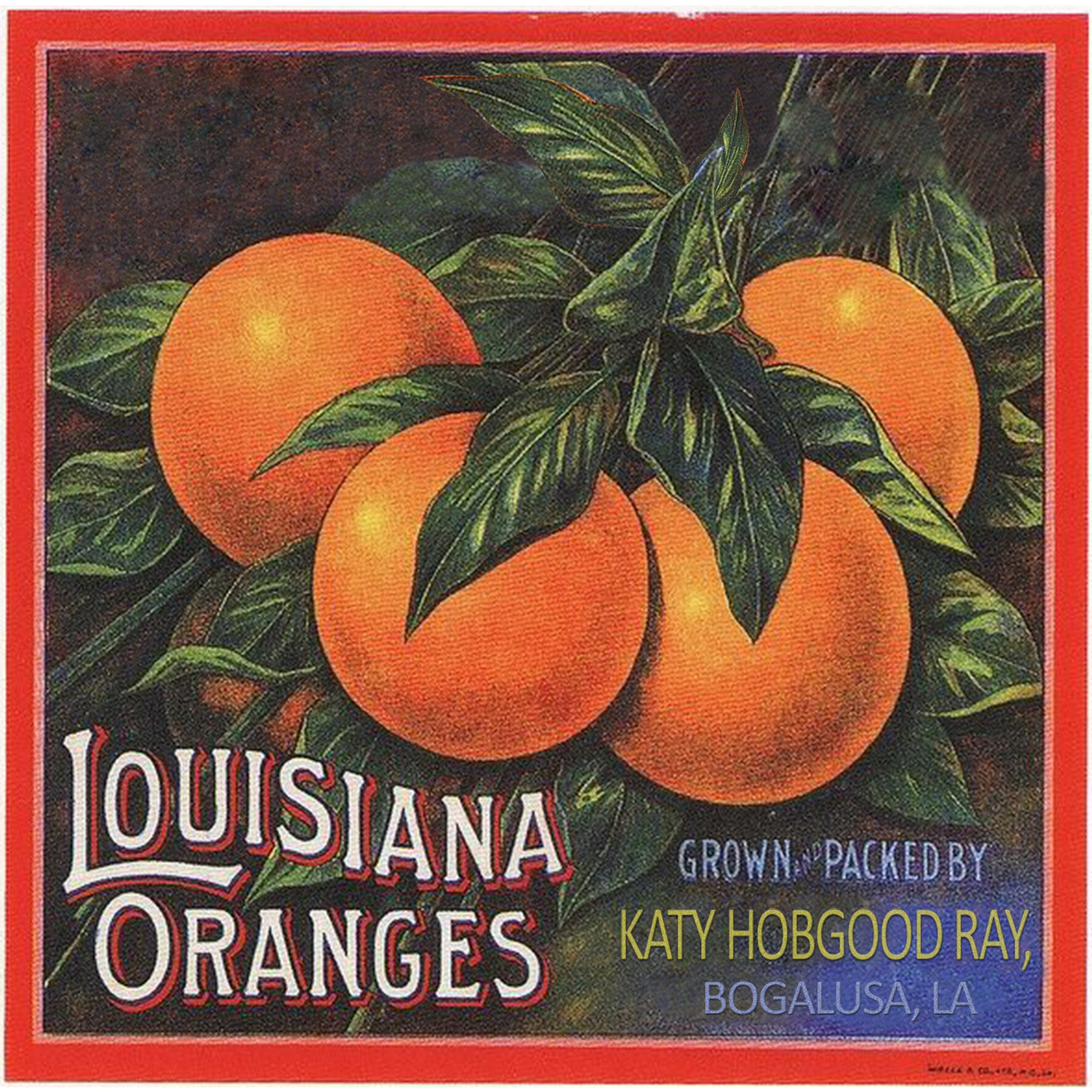 Louisiana Oranges